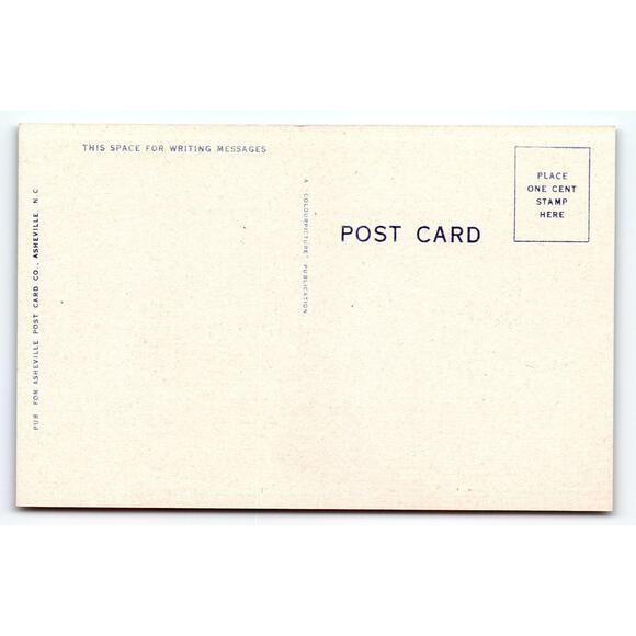 Vintage 1950s Linen Comic Postcard Woman Harp Playing Saying - Picture 2 of 2